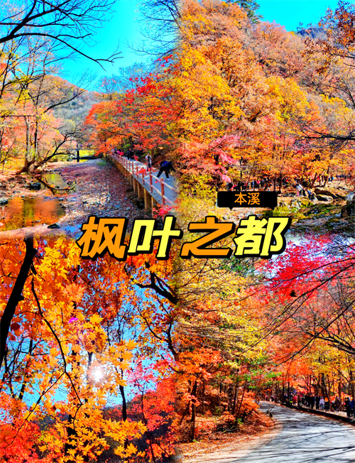 1789876394609711.png 微信图片_20260920112318_827_48.png