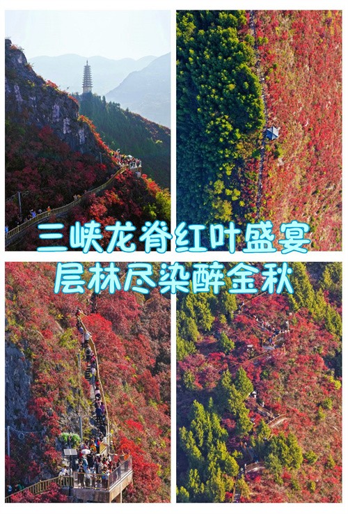 1790053612219011.jpg
