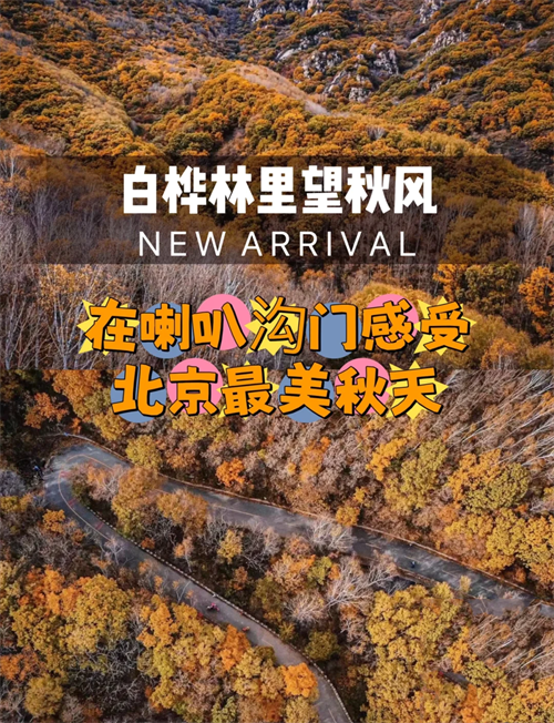 1791540303420262.png