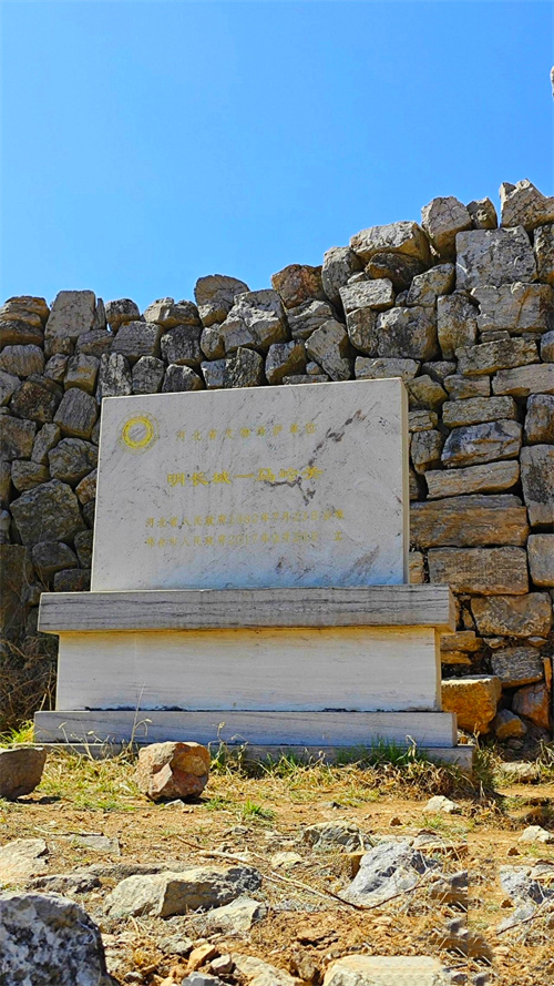 1791772558565215.jpg