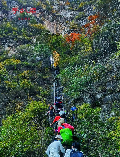 1793071978524583.jpg 微信图片_20261027112457_282_1.jpg