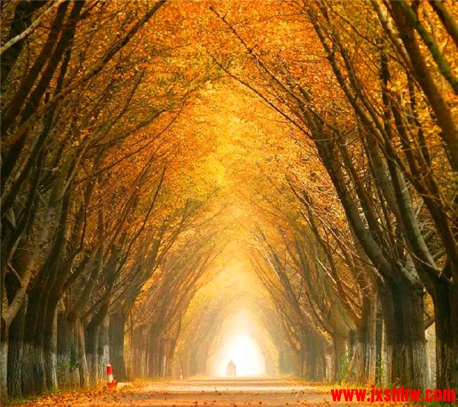 1571898293150717.jpg 165123y6cfb39ffmzmv4dp.jpg