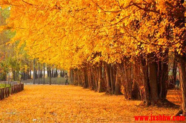 1571898311179627.jpg 165136zw7klzzgmmbzkmkn.jpg