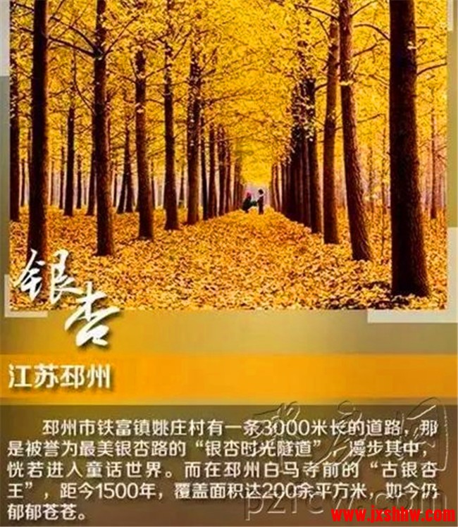 1571898321408868.jpg 165135hrs1y1c1o2nn2gj0.jpg