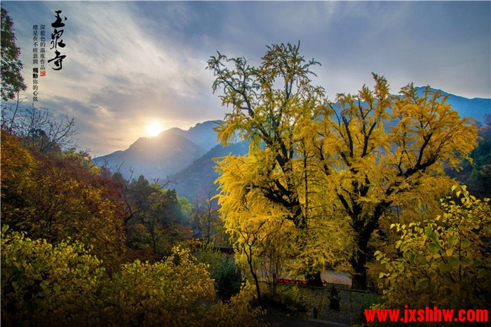 1572931401144538.jpg 114806jlbbn0j2i9t0tbm2.jpg