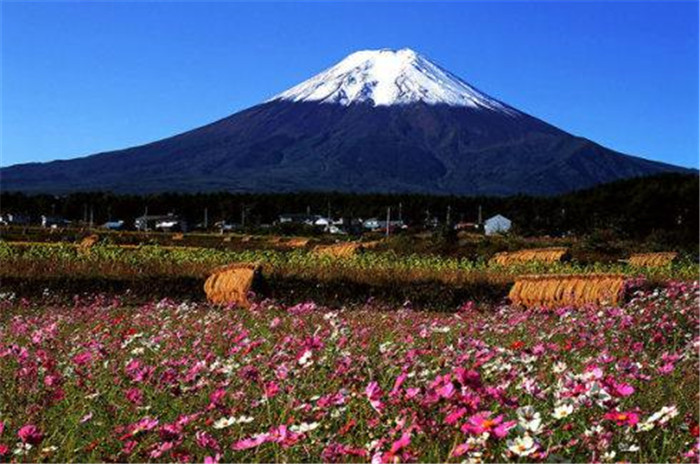 1575261532200595.jpg 145128nnfo4nxzkz68cz6f.jpg