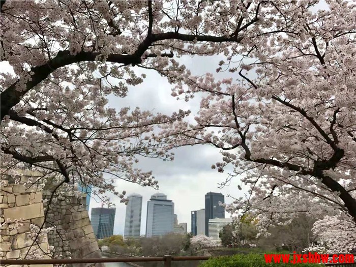 1575261561870304.jpg 144201zs3rj18q3f3bjlb8.jpg