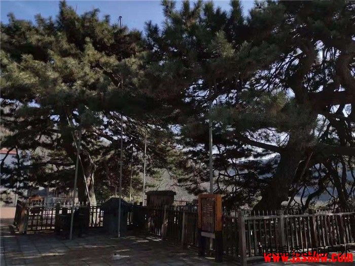 1577336227536006.jpg 145617mm8zmbrhbjvmghjb.jpg