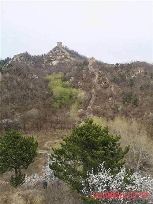 1587354778969129.jpg 微信图片_202004201144164_副本.jpg