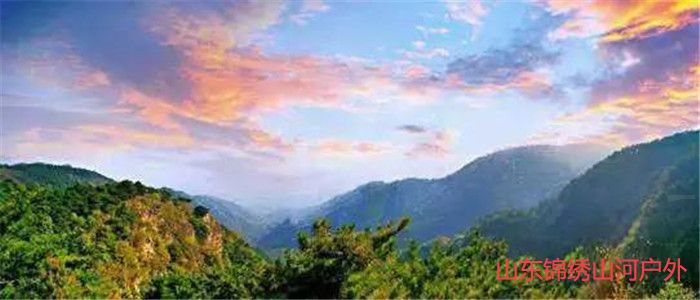 1587356686631481.jpg 微信图片_20200420121943_副本.jpg