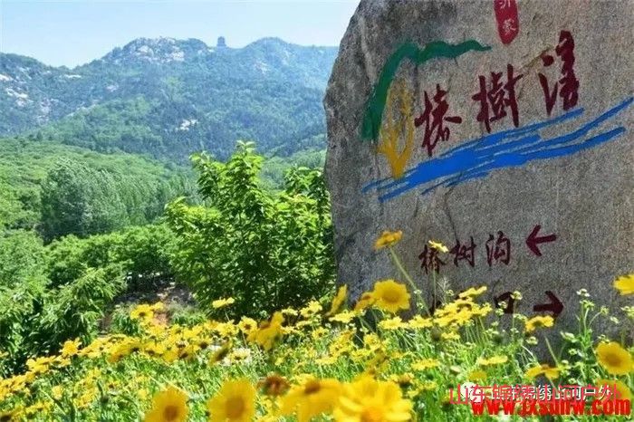 1587447334695240.jpg hsduigsd.jpg