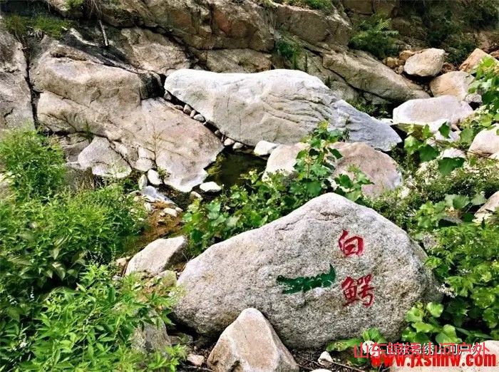 1587447564861683.jpg 6756756.jpg