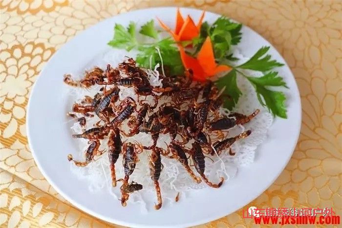 1587447708599862.jpg 640sfsbg.jpg