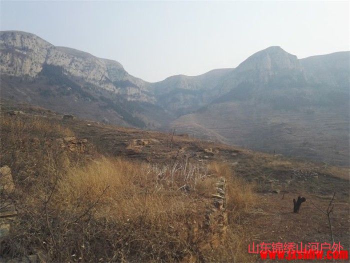 1588406429836299.jpg 微信图片_202005021536175_副本.jpg