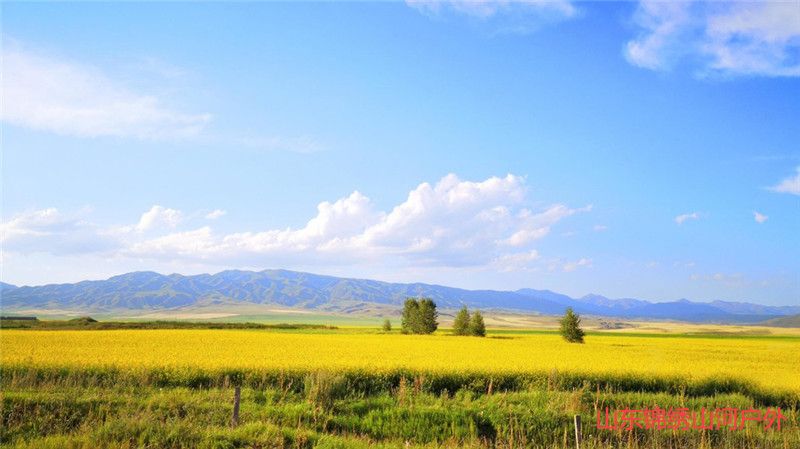 1590760951817681.jpg 微信图片_20200529195115.jpg