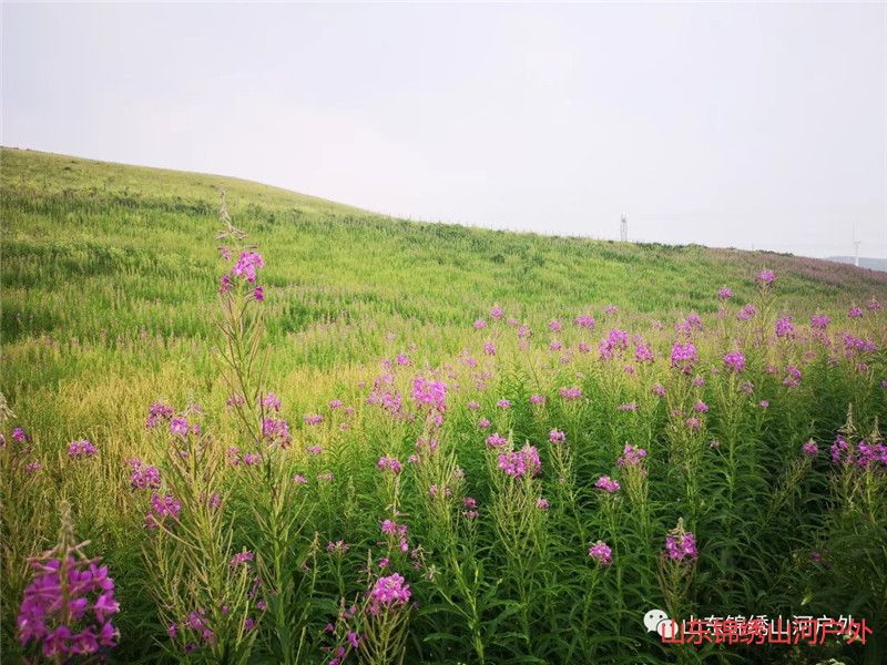 1590841642918918.jpg 6407.jpg