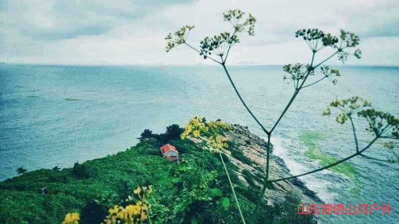 1590989941681023.jpg 微信图片_202006011328566_副本.jpg