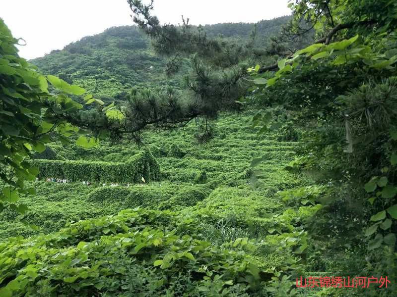 1590989949159660.jpg 微信图片_2020060113285610_副本.jpg