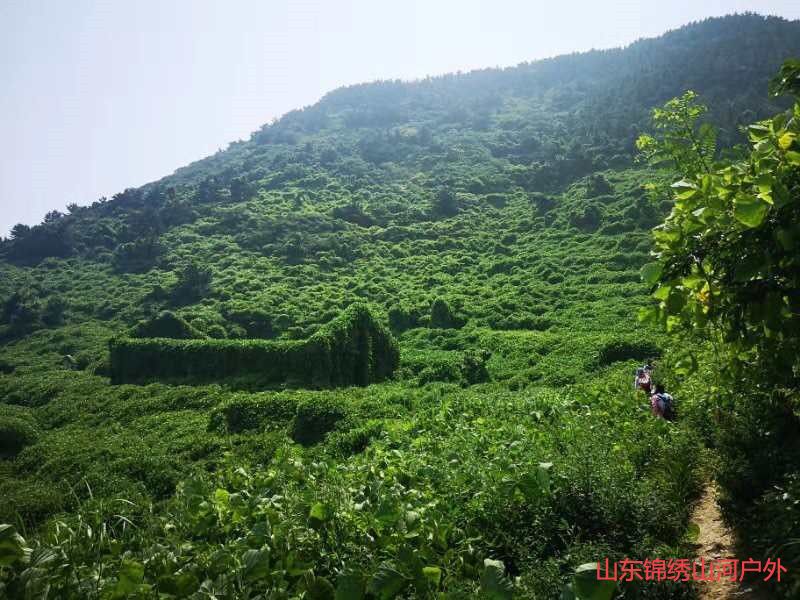 1591005008663840.jpg 微信图片_20200601174919_副本.jpg