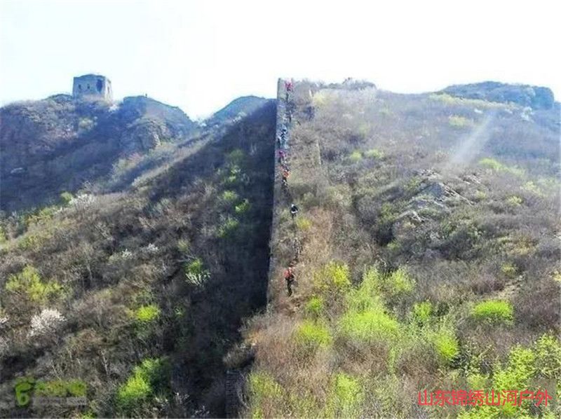 1594464415187304.jpg 微信图片_20200711183520_副本.jpg