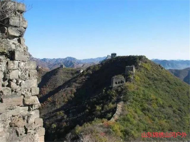 1594464466882864.jpg 微信图片_20200711183526_副本.jpg