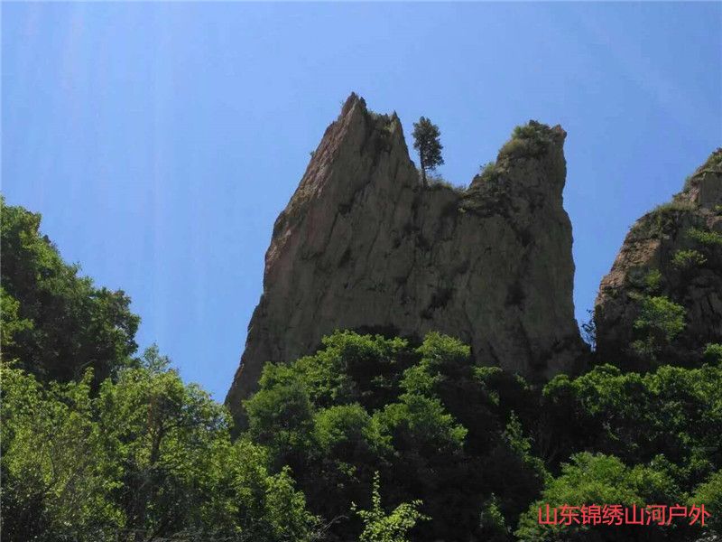 1594464955312598.jpg 微信图片_202007111852169_副本.jpg