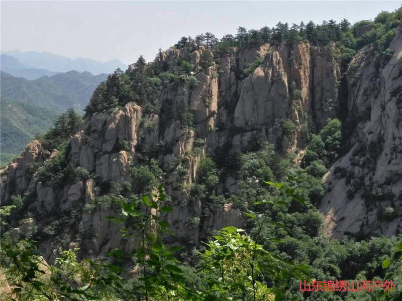 1594464961884683.jpg 微信图片_2020071118521613_副本.jpg