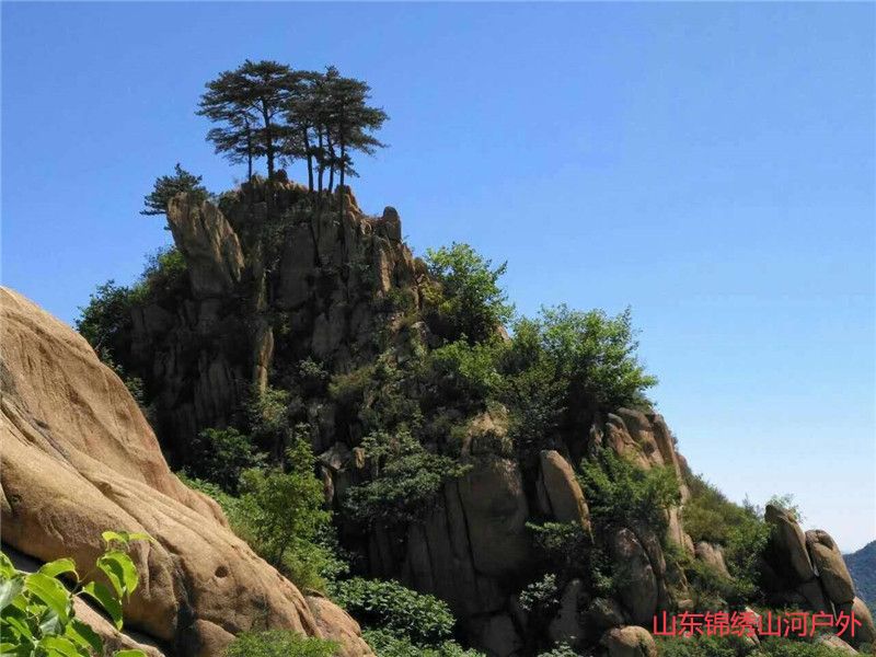 1594464967397198.jpg 微信图片_202007111852164_副本.jpg