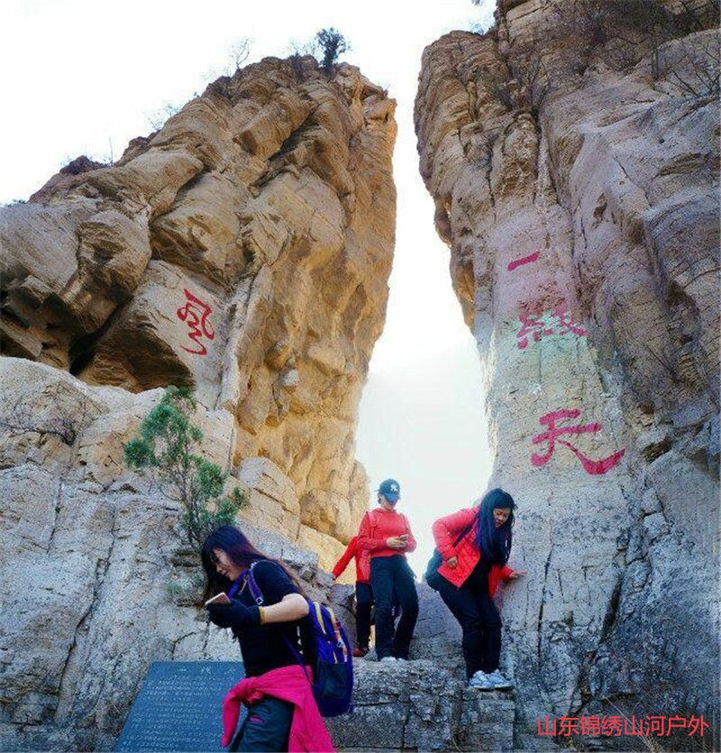 1599471016302847.jpg 微信图片_202009071727524_副本.jpg