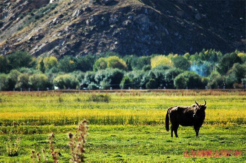 1599543077800962.jpg 2496801_副本.jpg