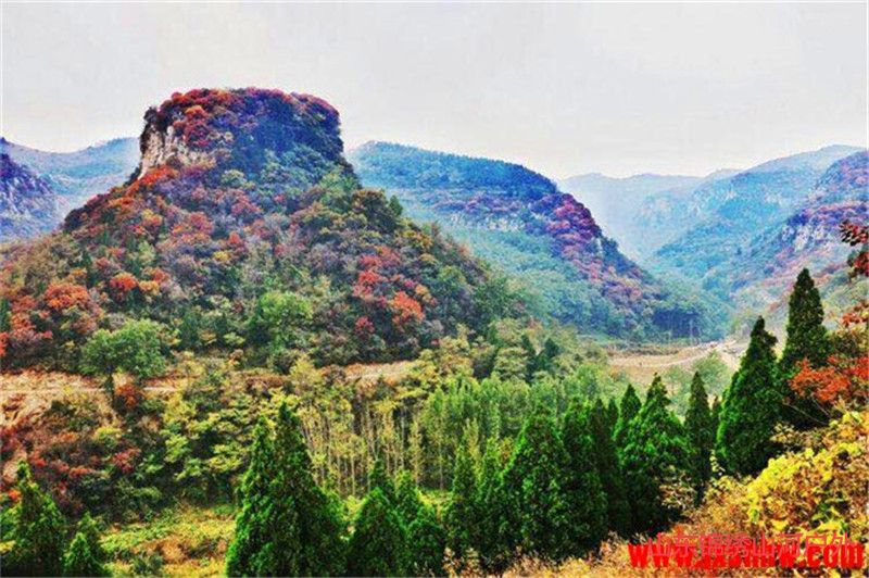 1602230682818839.jpg 微信图片_202010091602531_副本.jpg