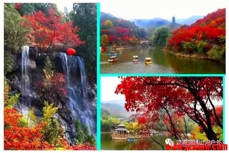 1602384682827988.jpg 640 (11).jpg