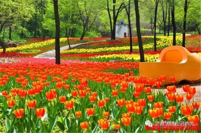 1602384692117142.jpg 640 (13).jpg