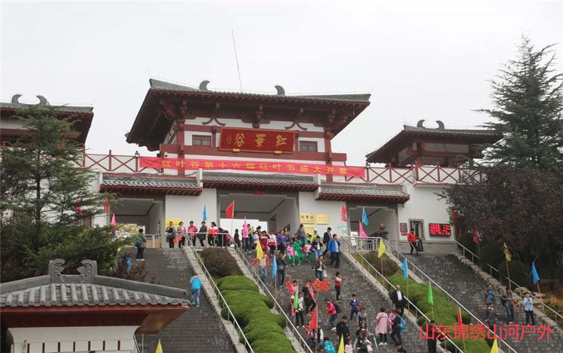 1602385642942026.jpg 13401114_185539296001_2 (1).jpg