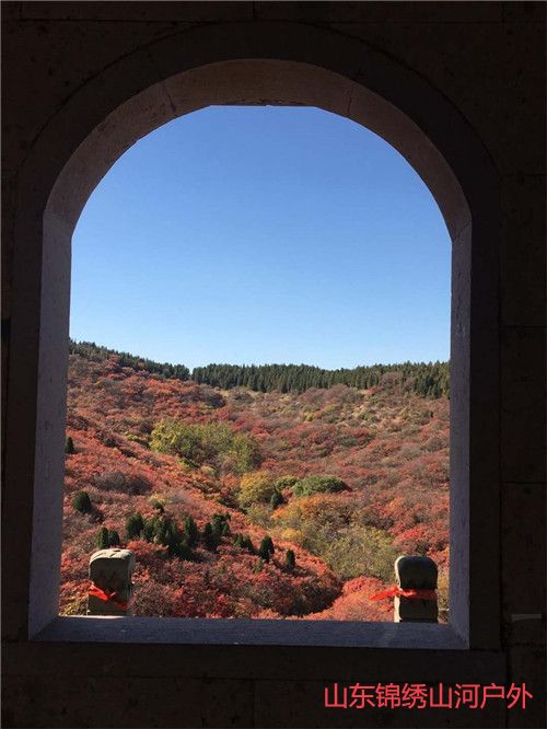 1602387043586950.jpg 微信图片_202010111129562_副本.jpg