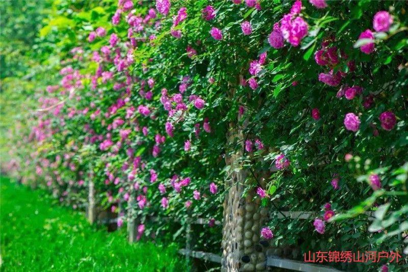 1602387428989084.jpg 870f0b53ca364312adc5f0d00664d5d6.jpg