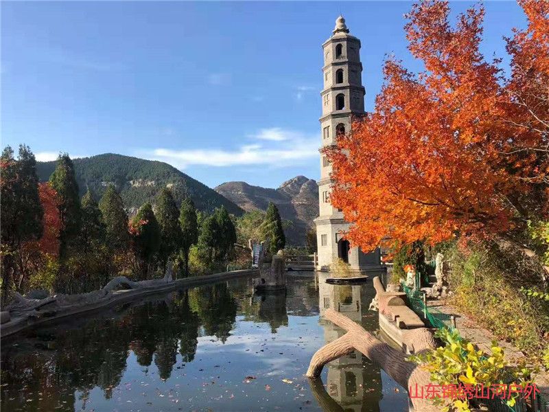 1602387772139550.jpg d2571fb9b8004823b74a120a95949565.jpg