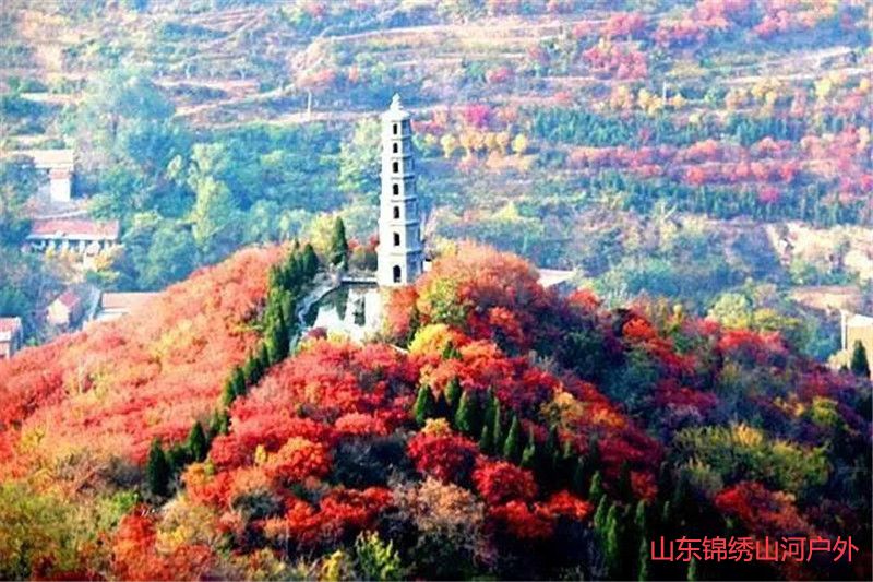 1602413780635521.jpg 微信图片_20201011185210_副本.jpg