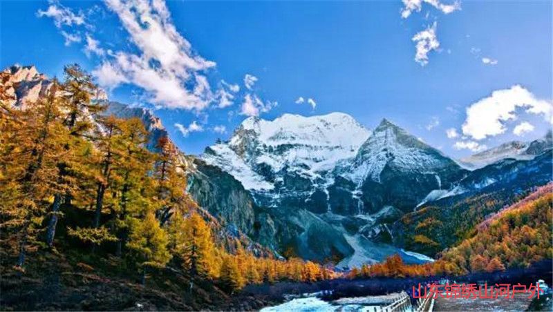 1602825390132861.jpg 3b2cd07c8dfb4b9da3ffa3077e48e8ab.jpg