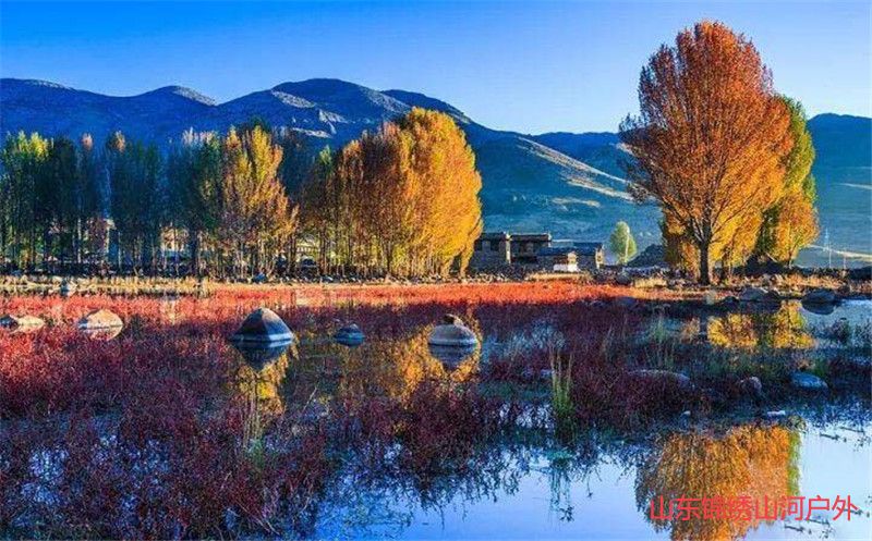 1602832242397077.jpg 微信图片_20201016131025_副本.jpg