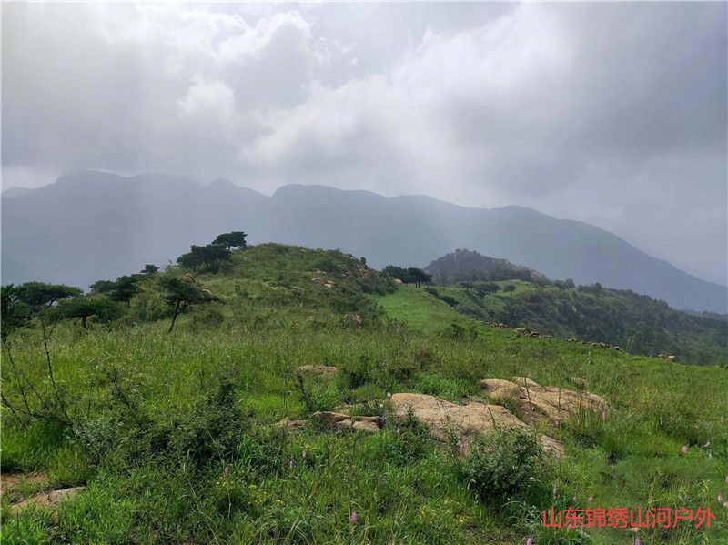 1605006924577902.jpg 微信图片_202011101814401_副本.jpg