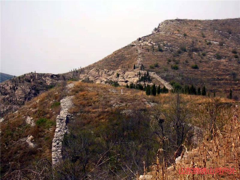 1605007529790077.jpg 微信图片_202011101921403_副本.jpg