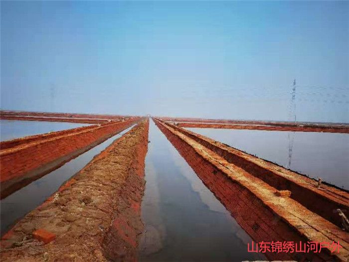 1605607573580809.jpg 微信图片_2020111717265310_副本.jpg