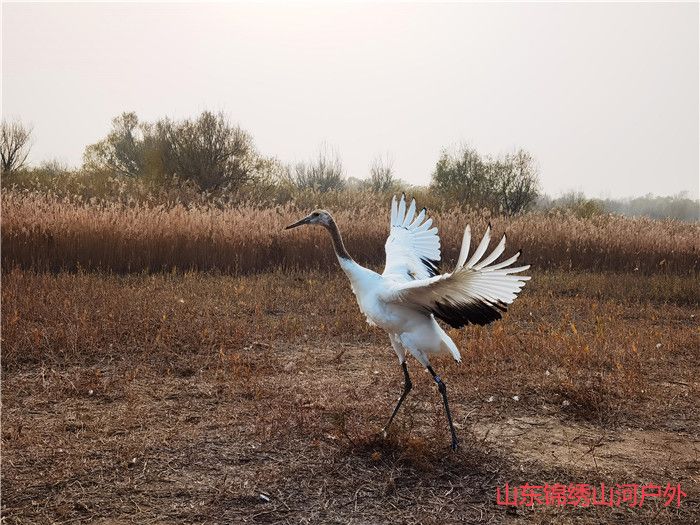 1605607683454140.jpg 微信图片_202011171726538_副本.jpg