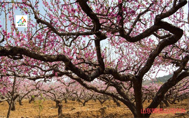 1615784704107447.jpg 微信图片_20210315124801_副本.jpg