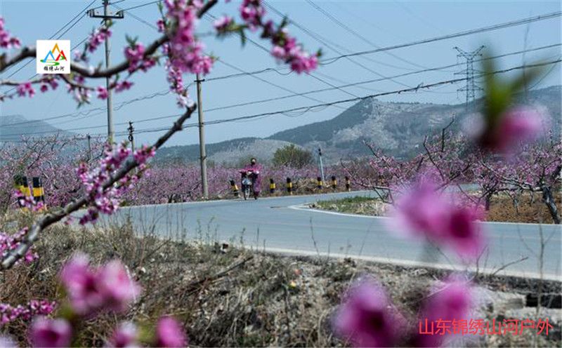 1615785889484499.jpg 微信图片_20210315132237_副本.jpg