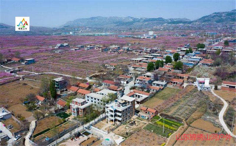 1615785977765055.jpg 微信图片_20210315132440_副本.jpg