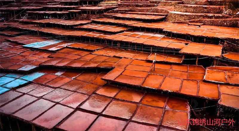 1685620315946870.jpg src=http___safe-img.xhscdn.com_bw1_ec47789c-be4d-499d-bc98-1cd1ef5bf5b3_imageView2_2_w_1080_format_jpg&refer=http___safe-img.xhscdn.jpg