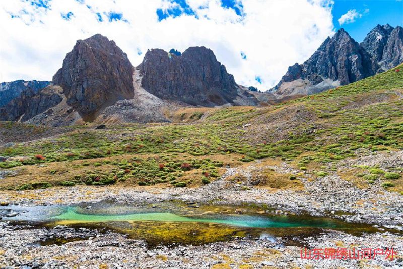 1685620959946798.jpg 3.jpg