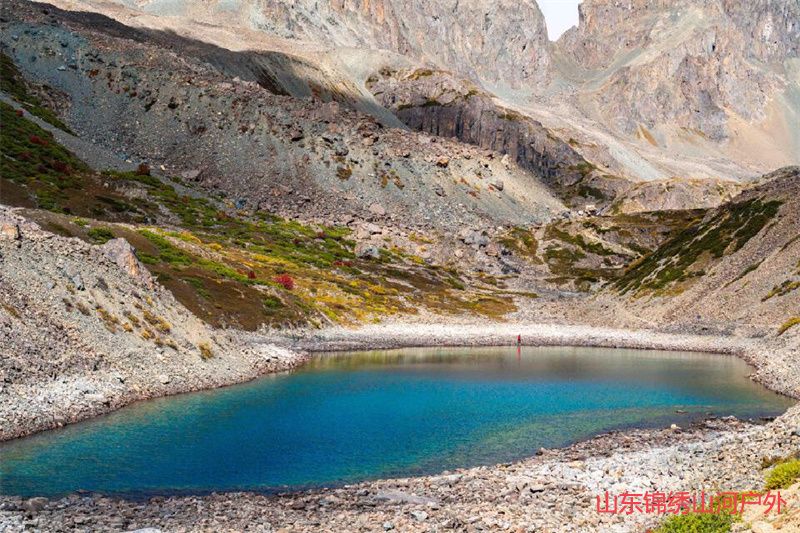 1685620991281328.jpg d1.jpg